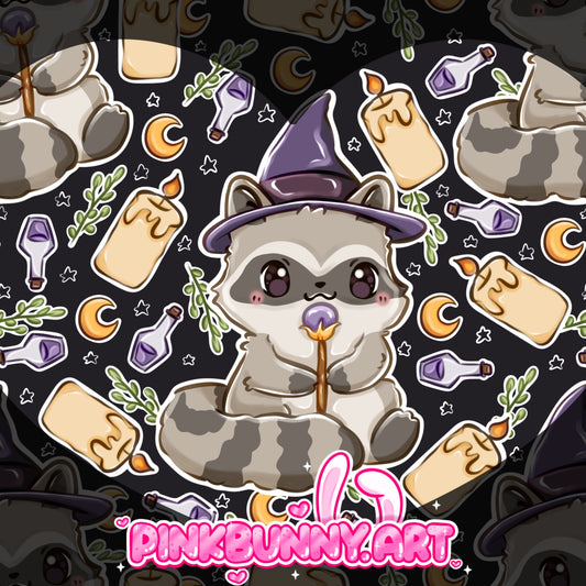 Raccoon Wizard